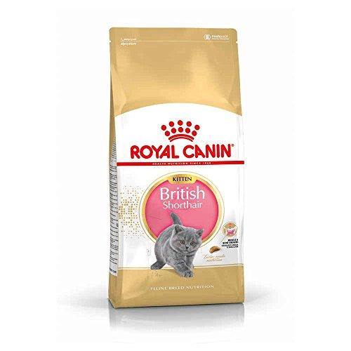 Royal Canin British Shorthair Kitten 2kg Royal Canin British Shorthair Kitten 2kg